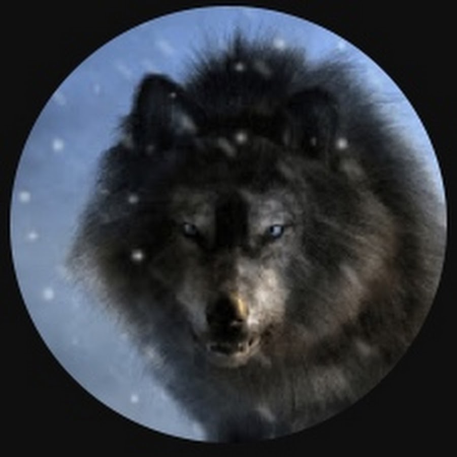 Profile Picture of Christopher renstrom (@carieunderwood) on Youtube_profile