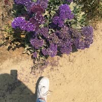 Profile Picture of Selena Rogers (@selena.rogers.9465) on Facebook