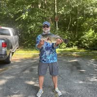 Profile Picture of Steven Bianchini (@steven.bianchini.16) on Facebook